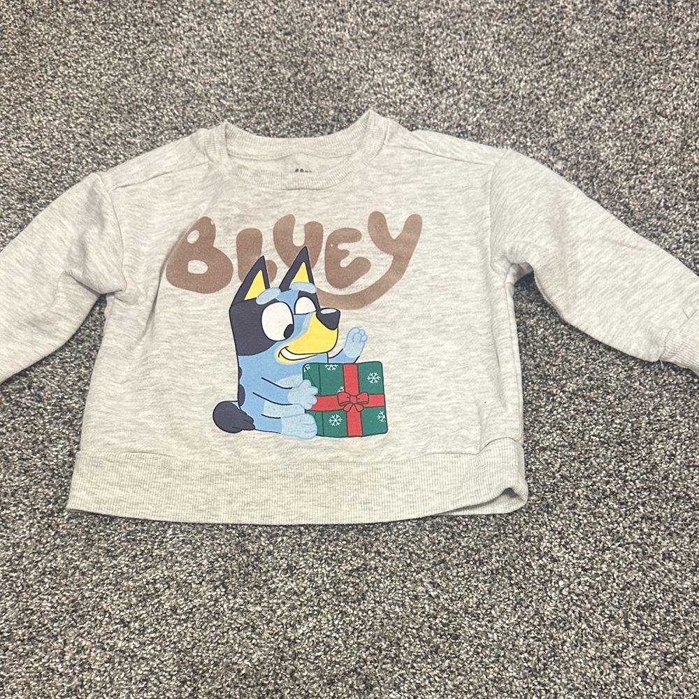 Bluey Kids Light Grey Graphic Sweatshirt - Festive Puppy Print